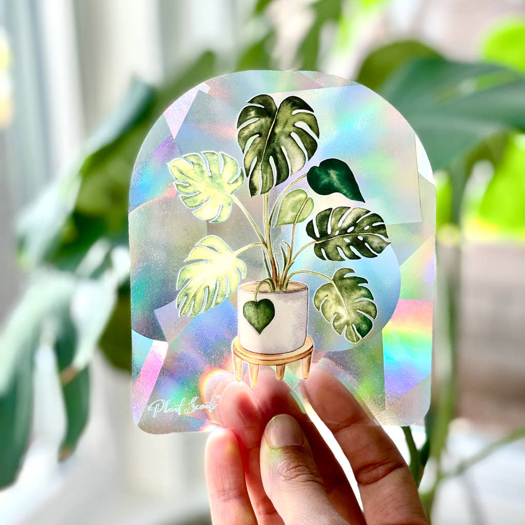 Rainbow Making Monstera Suncatcher Window Decal Sticker