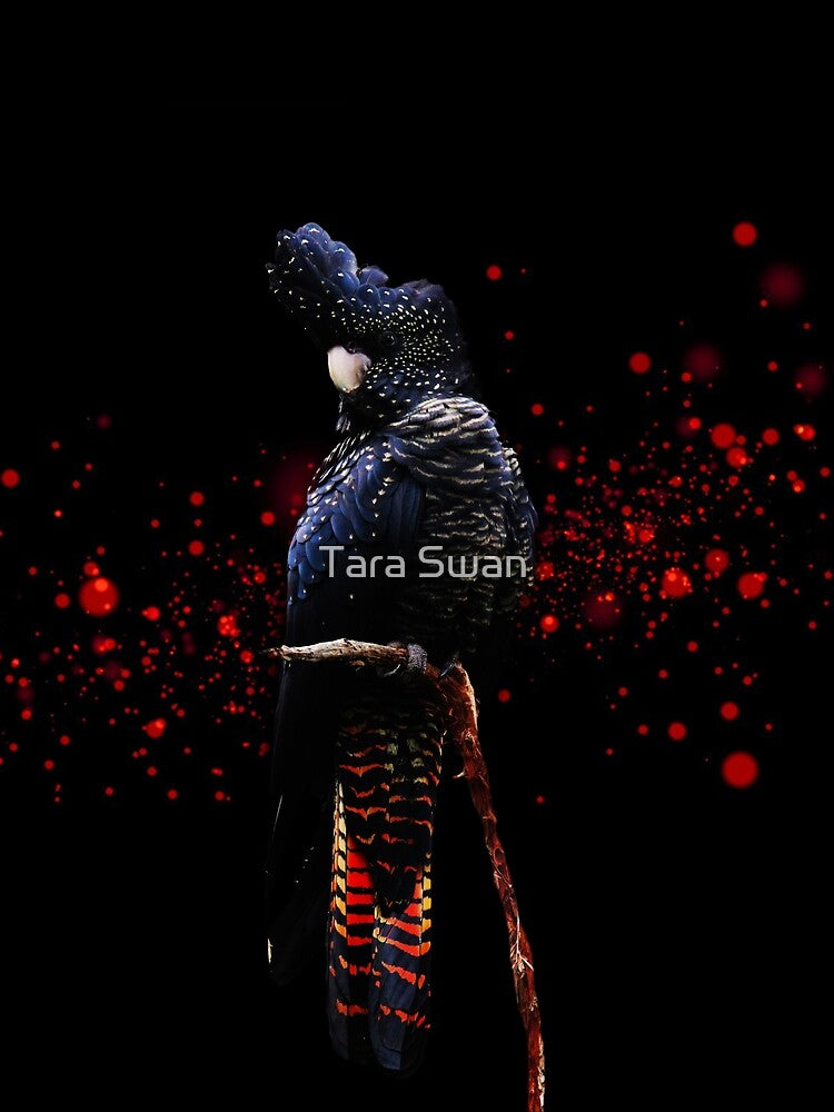Red Tailed Black Cockatoo by chocolatemouse