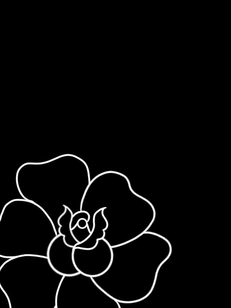 Simple Rose (white on Black) by IzoIno