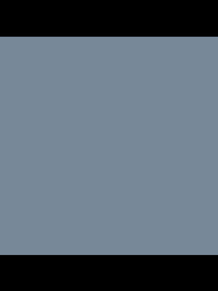 color light slate grey by kultjers