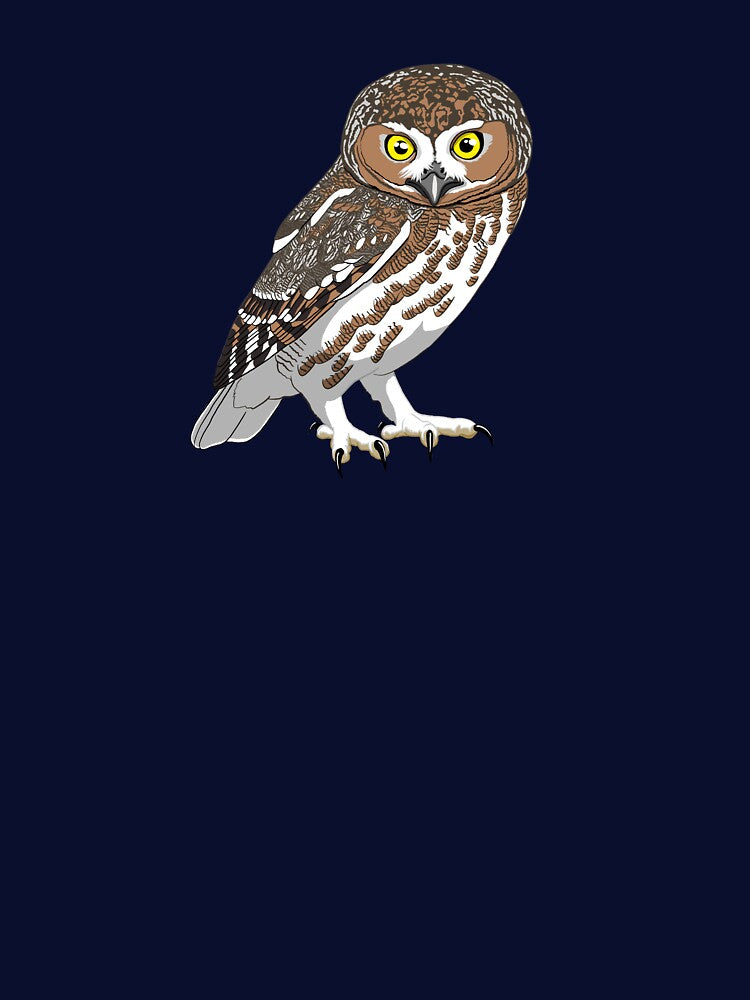 Elf Owl by BennuBirdy