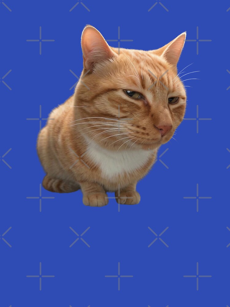 Mr Fresh - Side Eye Cat by Chonk Borris