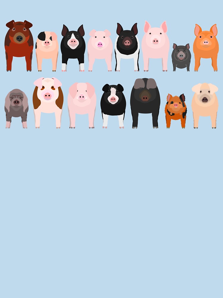 Pig Breeds by refineryn1