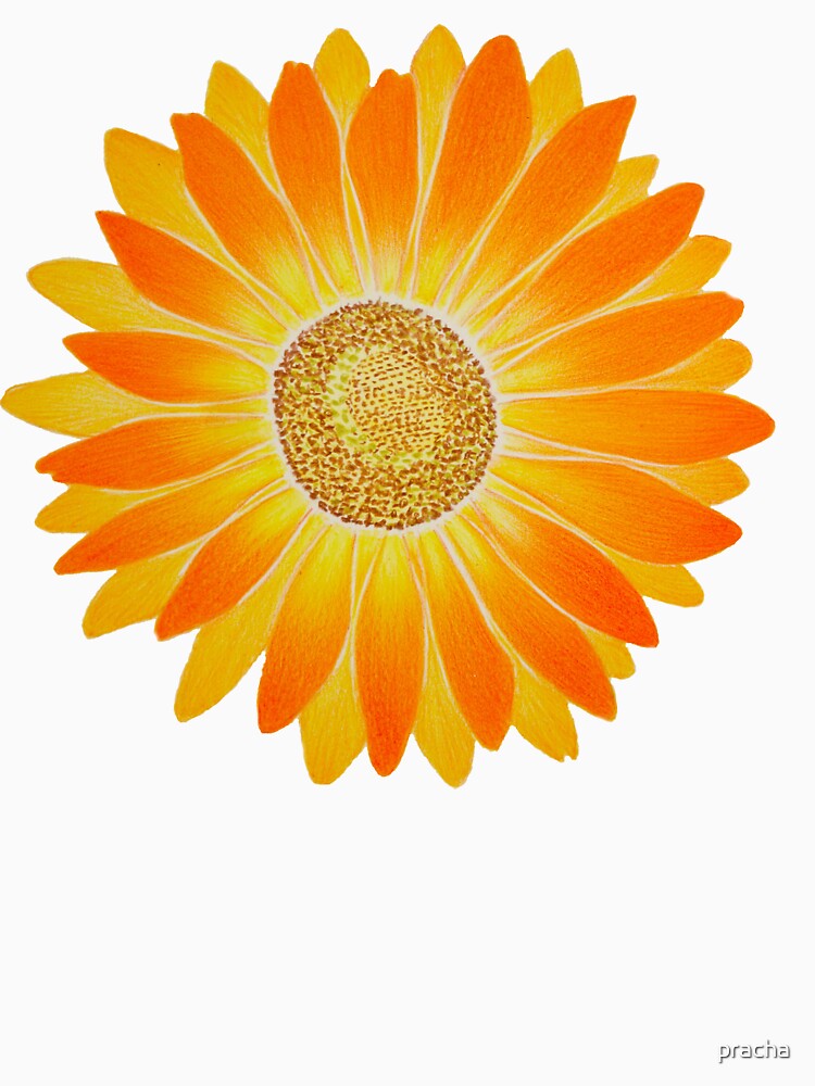 Sun Flower by pracha