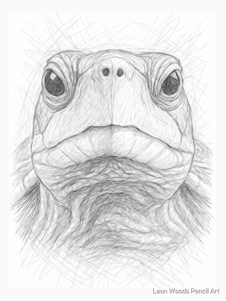 Tortoise Pencil Sketch by Leon Woods Pencil Art