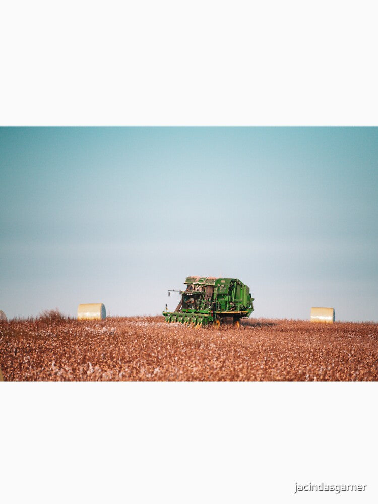 Cotton harvest 3 by jacindasgarner