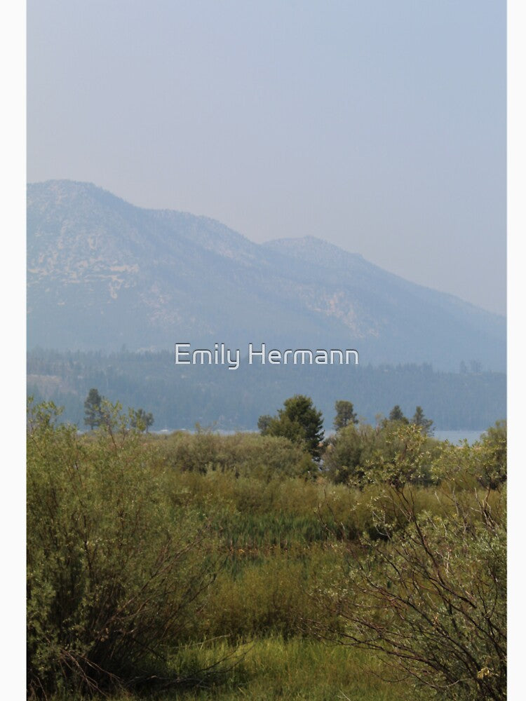Water in the Distance by Emily Hermann