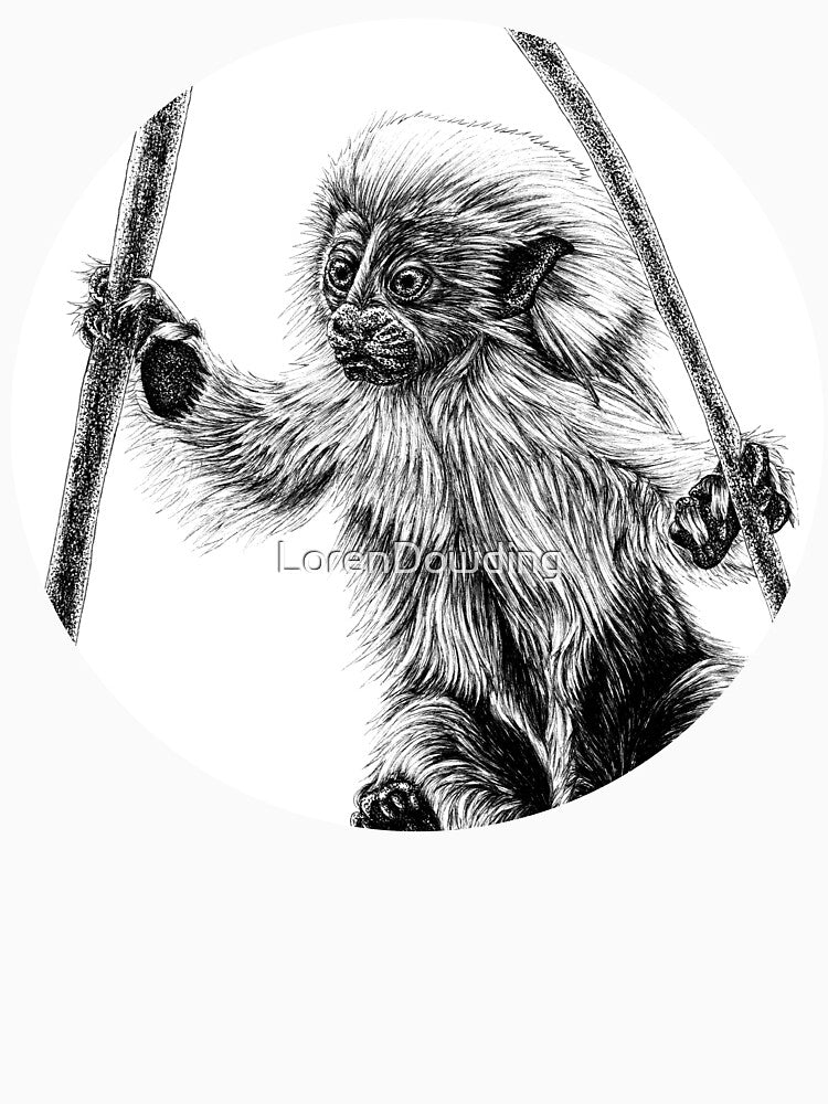 Cotton-top tamarin baby by LorenDowding