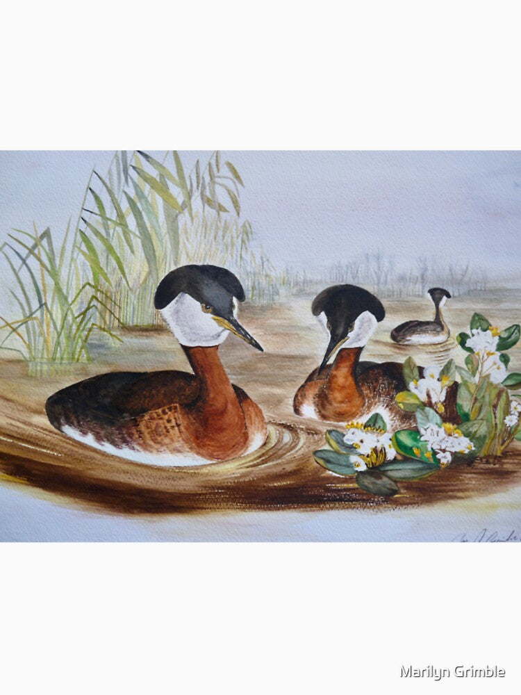 Crested Grebes - watercolour by Marilyn Grimble