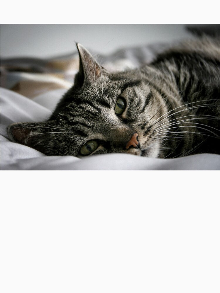 Spirit Animal by TheLorind
