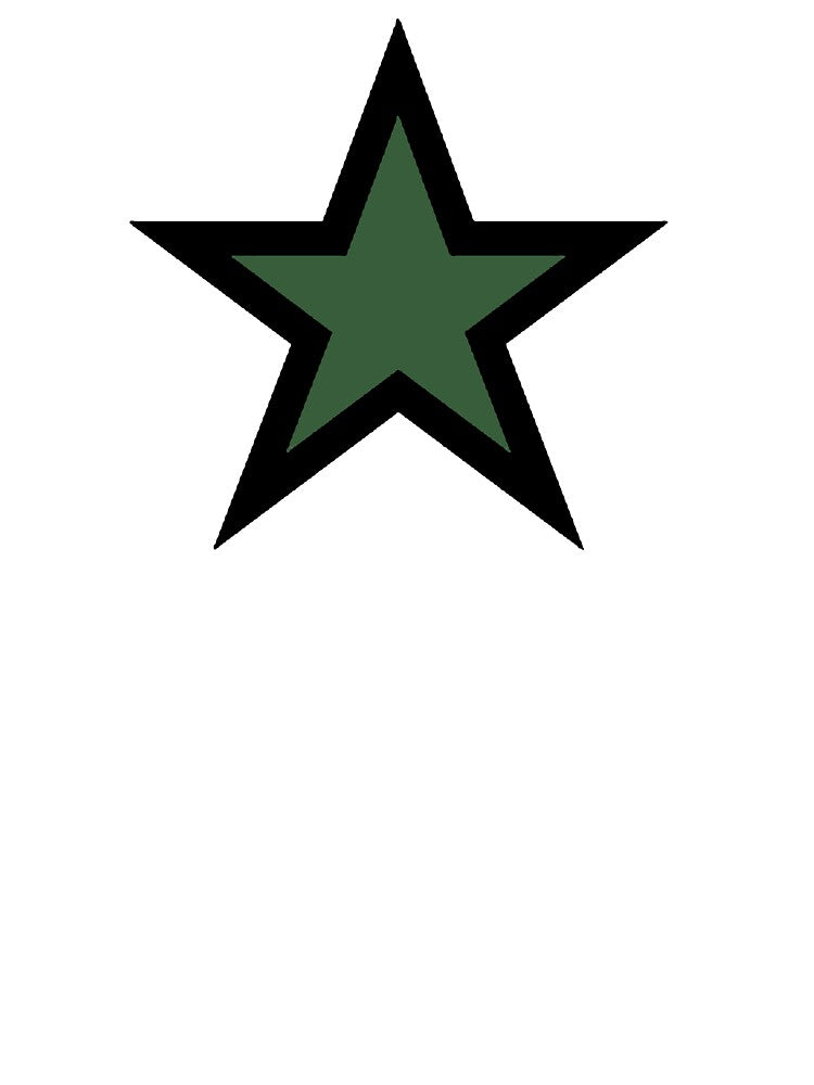 Green Y2K Star by ganirudesigns