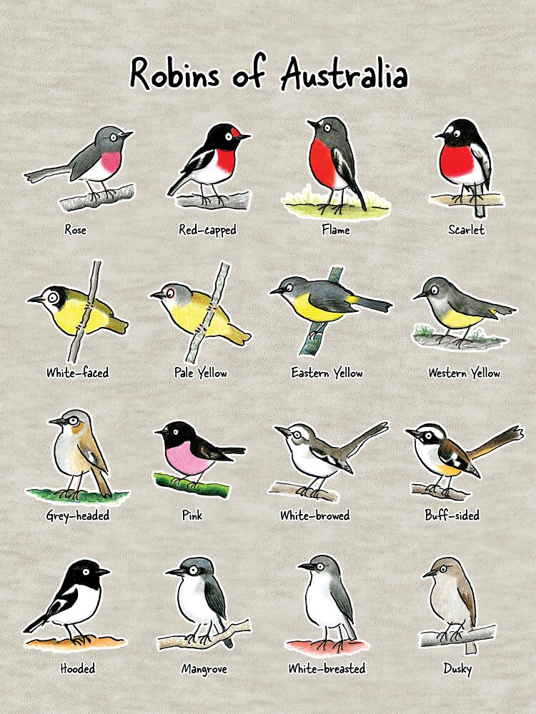 Robins of Australia - Raising funds for Birdlife Australia by Paula Peeters