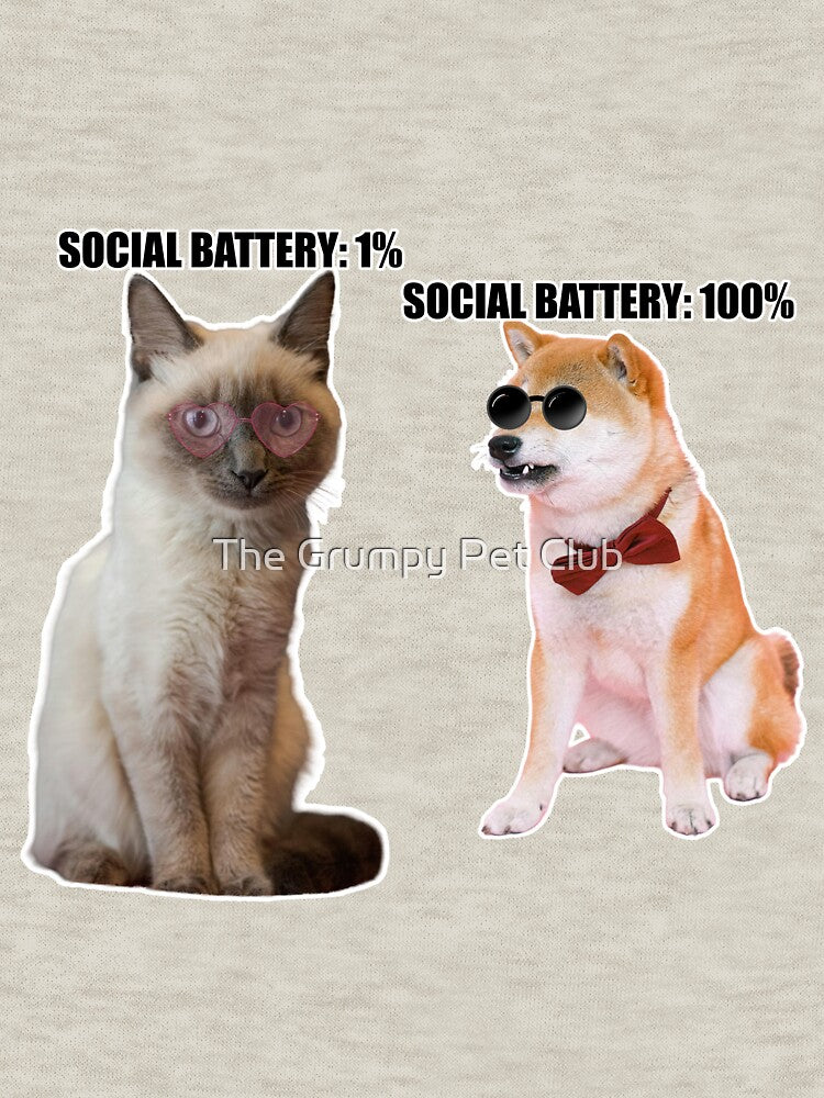 Social Battery 1% vs 100% – Funny Introvert Cat & Extrovert Dog Meme by The Grumpy Pet Club