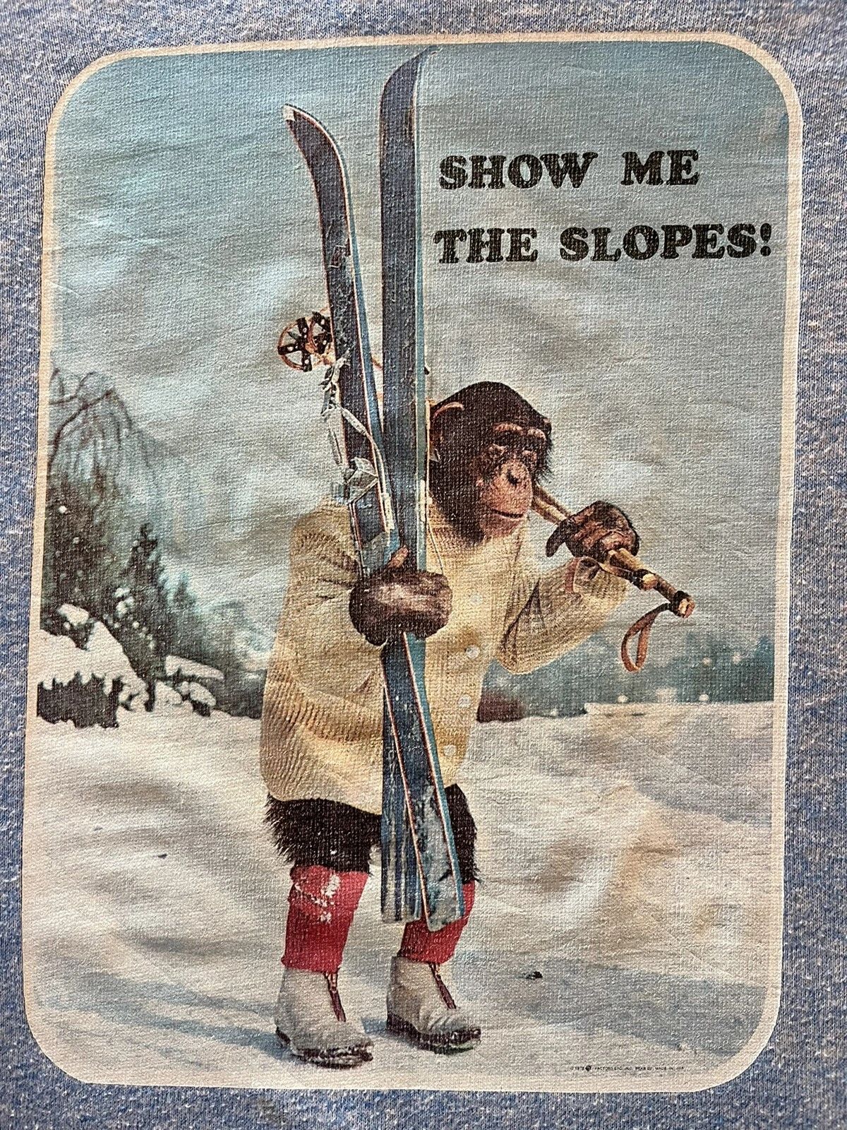 1978 Show Me The Slopes Skiing Vintage Ringer Graphic T Shirt Size Large Blue