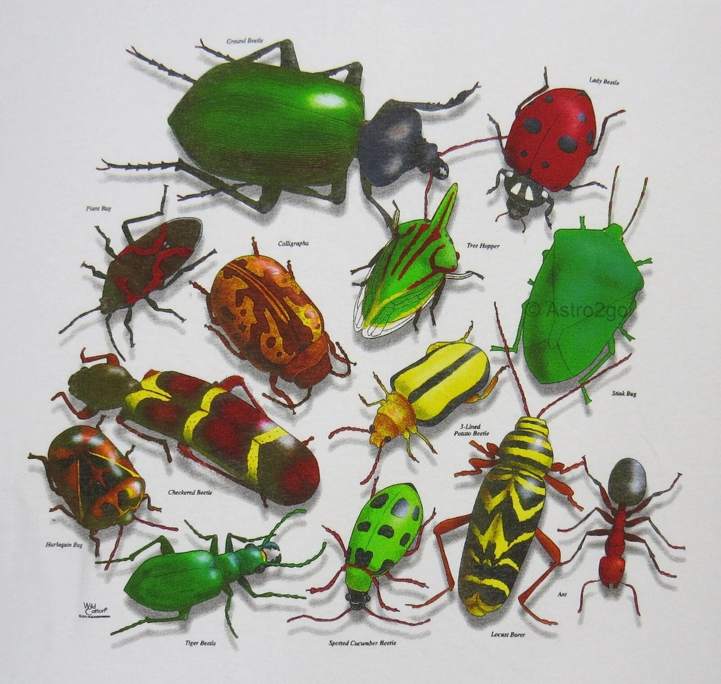 VINTAGE BUGS-Insects Beetles Lady Ant Stink Pests Science Nature T shirt S-2XL