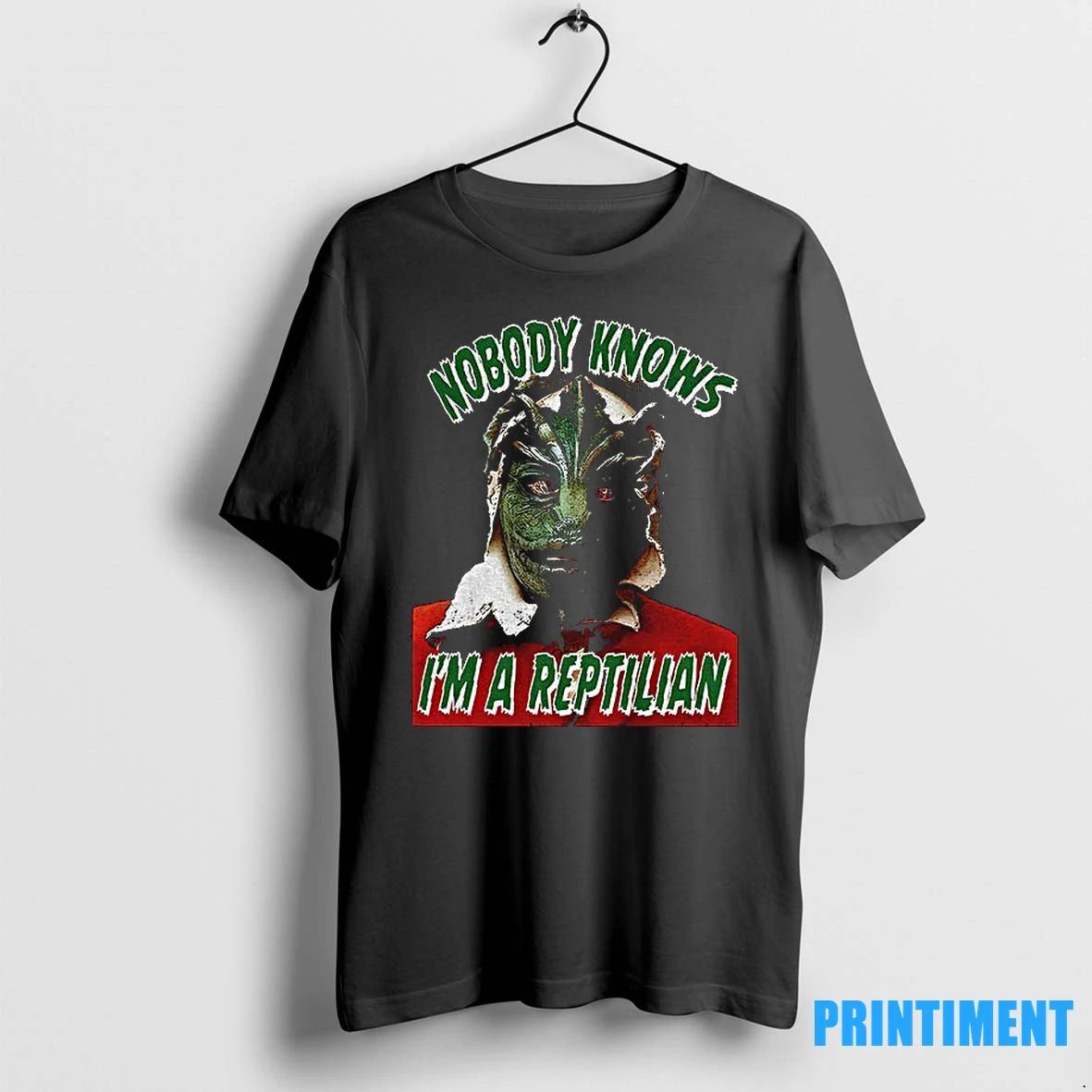 Nobody Knows Im A Reptilian Tshirts Sweater