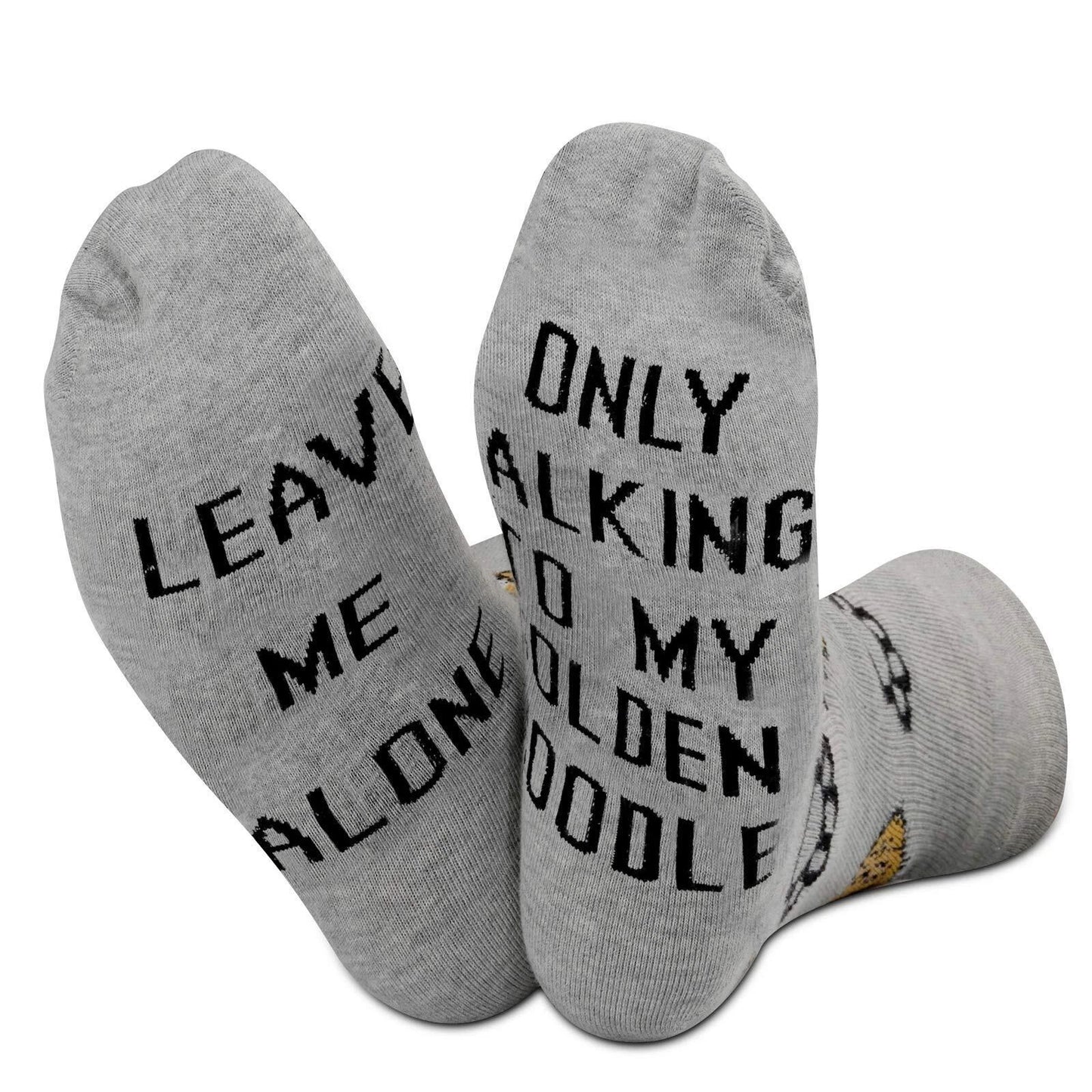 Leave Me Alone Labrador Dog Lover Socks Gift for Pet Owners