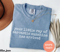 Comfort Colors Little Ray Sarcastic Sunshine Arrived Sarcastic Humor (1)