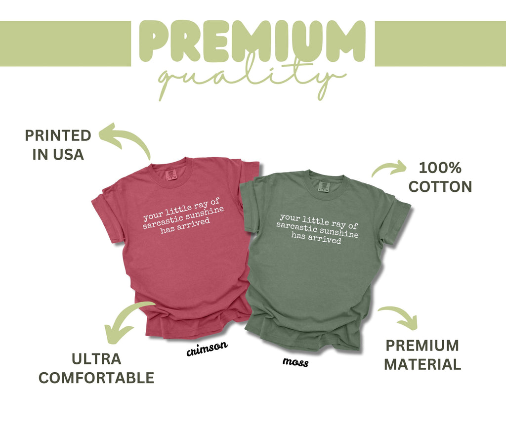 Comfort Colors Little Ray Sarcastic Sunshine Arrived Sarcastic Humor (3)