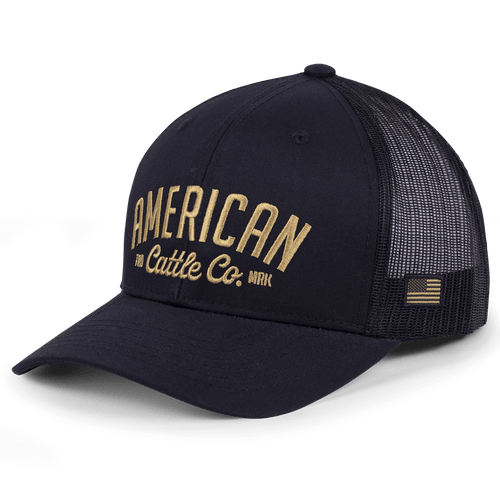 Acc Embroidered Hat