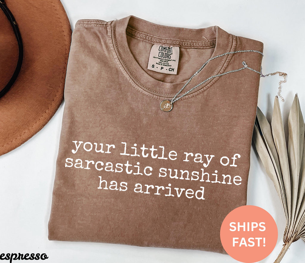 Comfort Colors Little Ray Sarcastic Sunshine Arrived Sarcastic Humor (4)