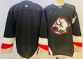 Buffalo Sabres Style 4