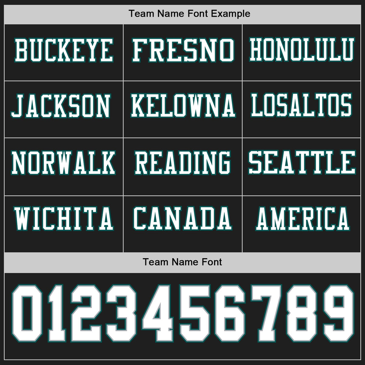 Custom Black White Gray-Midnight Green Long Sleeve Authentic Football Jersey