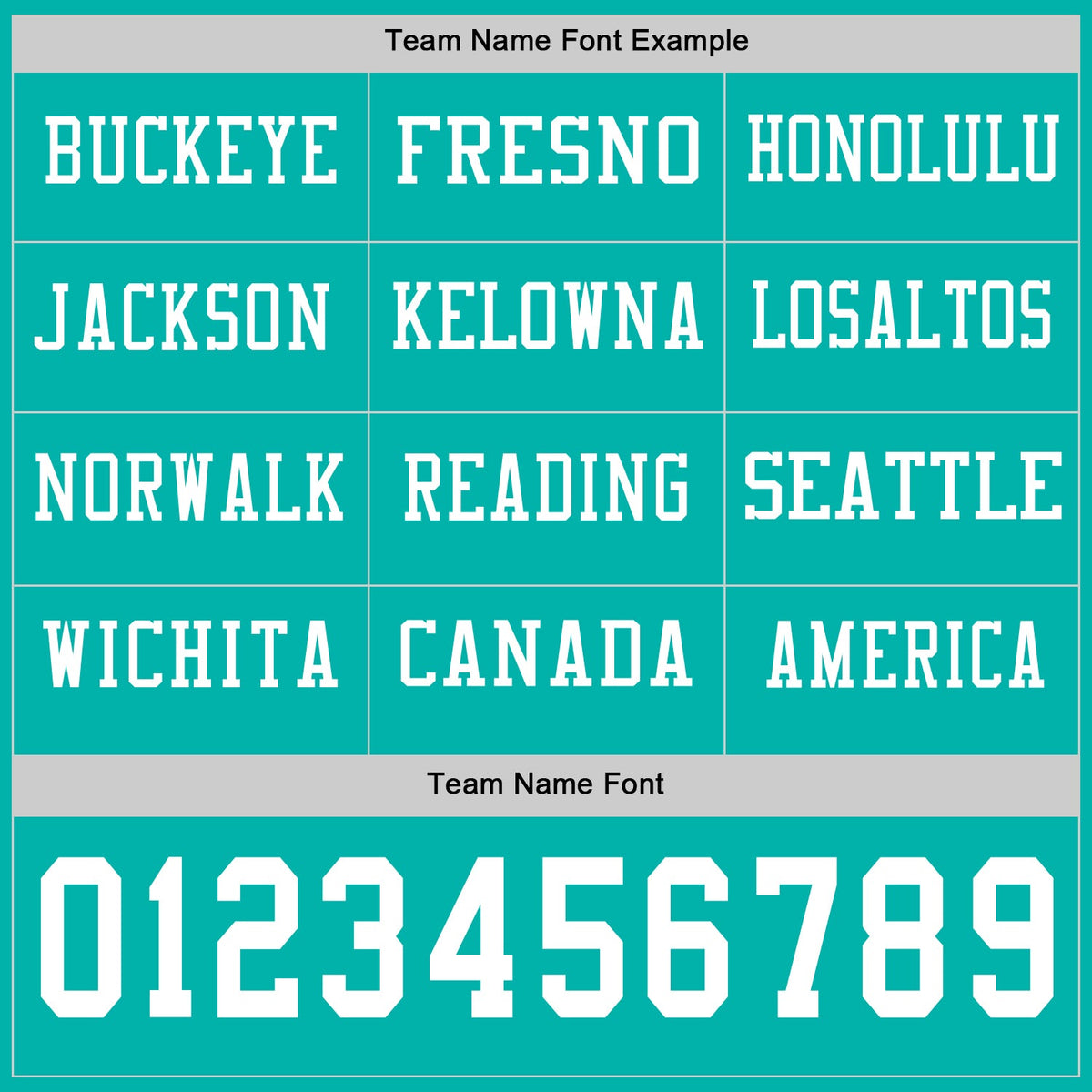 Custom Aqua White Long Sleeve Authentic Football Jersey