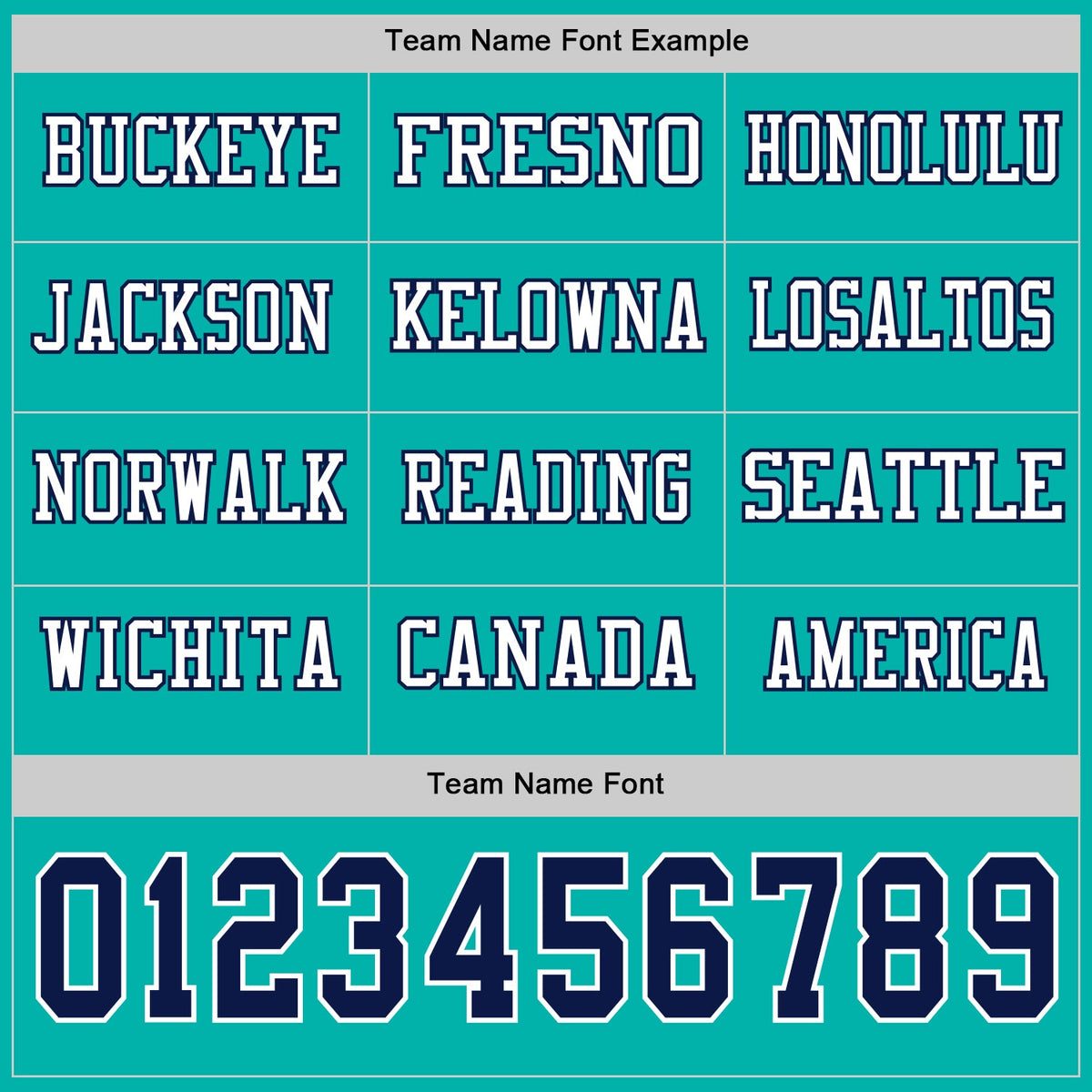 Custom Aqua Navy-White Long Sleeve Authentic Football Jersey