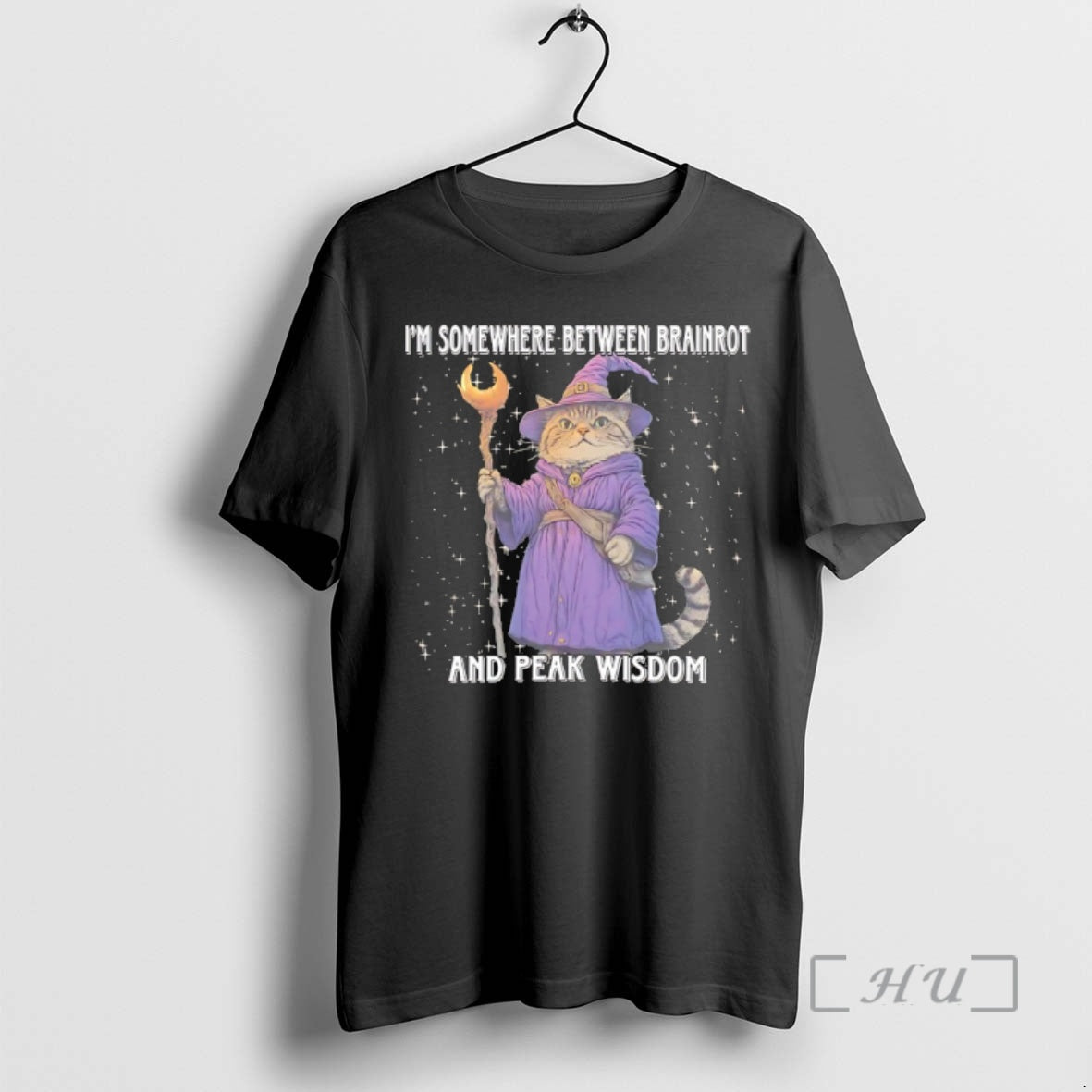 Officials Cat Wizard Im Somewhere Between Brainrot And Peak Wisdom