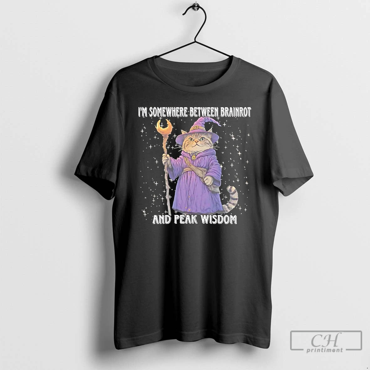 Premium Cat Wizard Im Somewhere Between Brainrot And Peak Wisdom