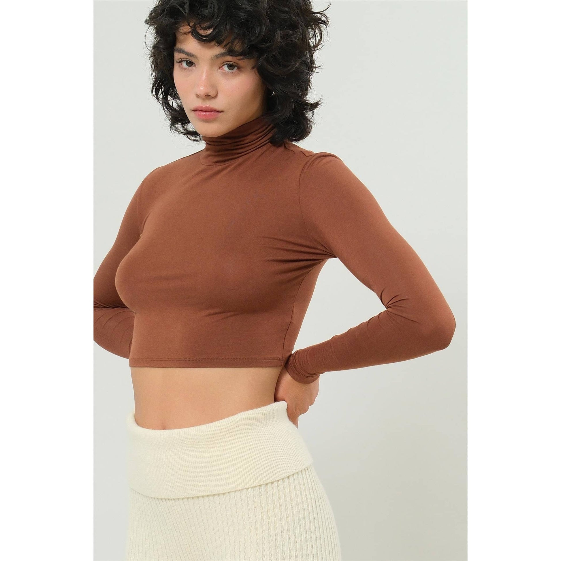 Long Sleeve Turtleneck Crop Top