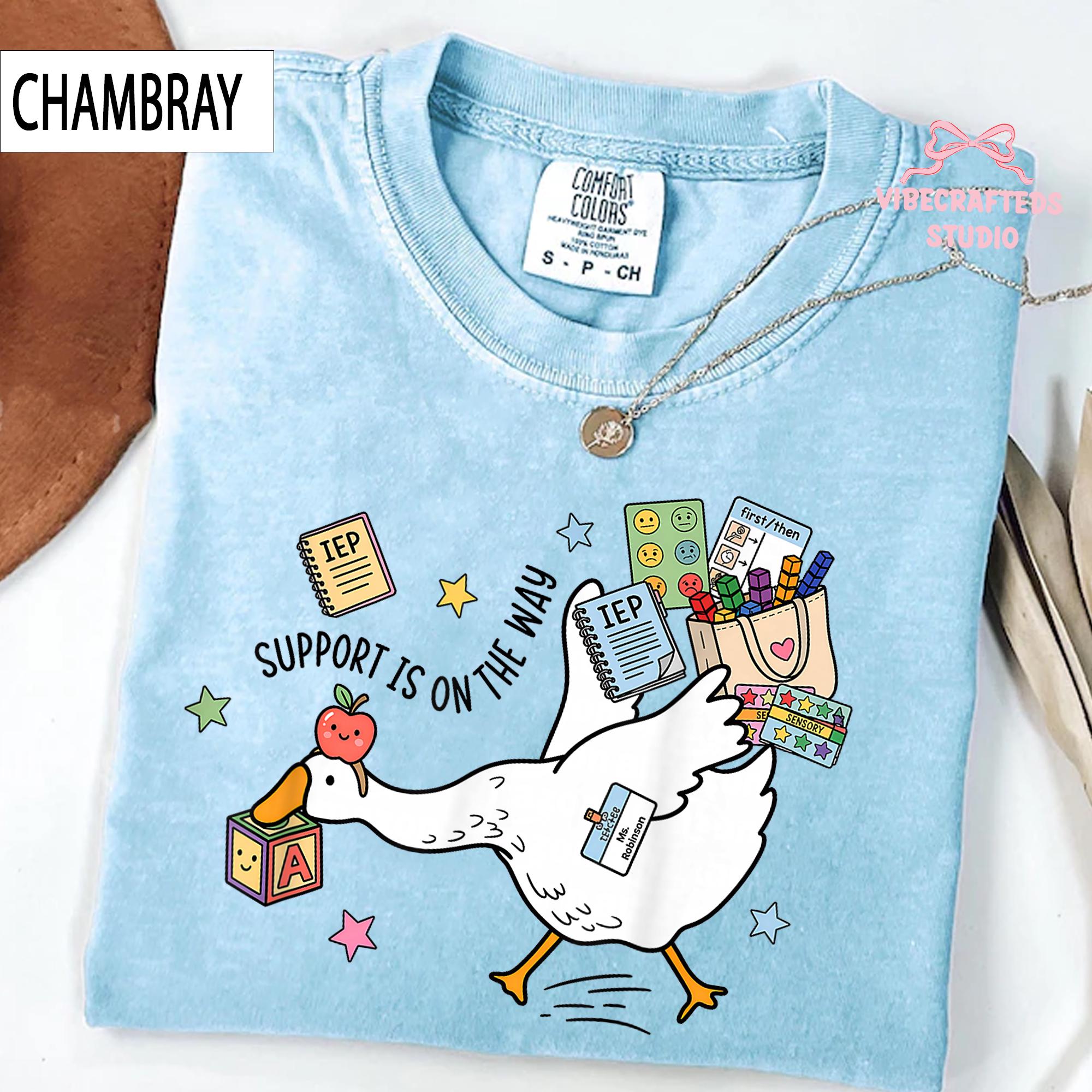 Support Way Silly Goose Comfort Colors Education Teacher Goose Iep Tools Tee Sped Teacher Support Tee (2)