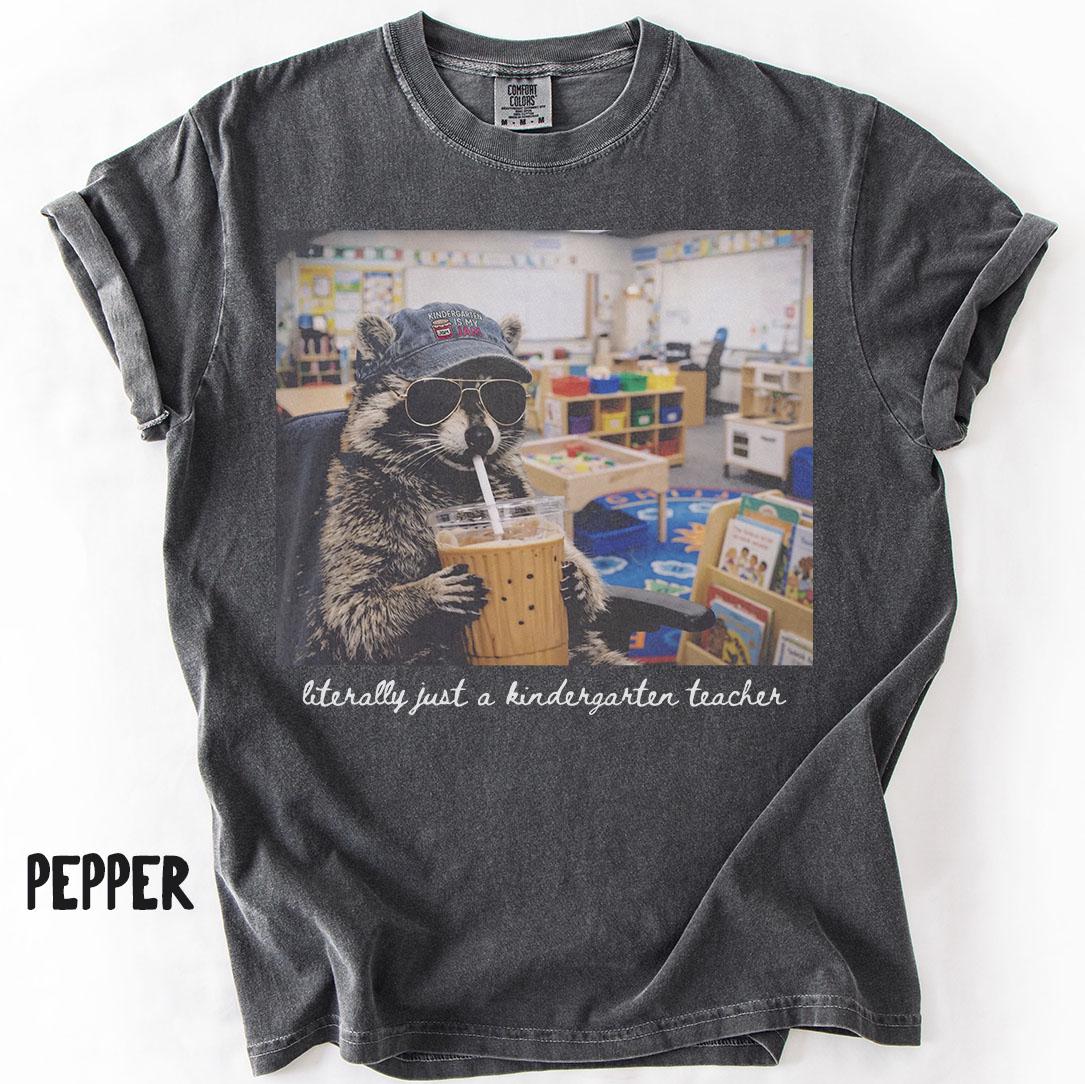 Comfort Colors Kindergarten Raccoon Teacher Tee Kindergarten Back School Kindergarten Department Crew Squad (1)