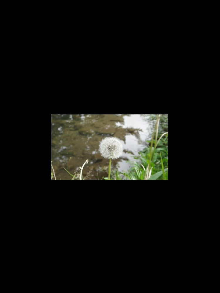 Dandelion Puff by JR Designes