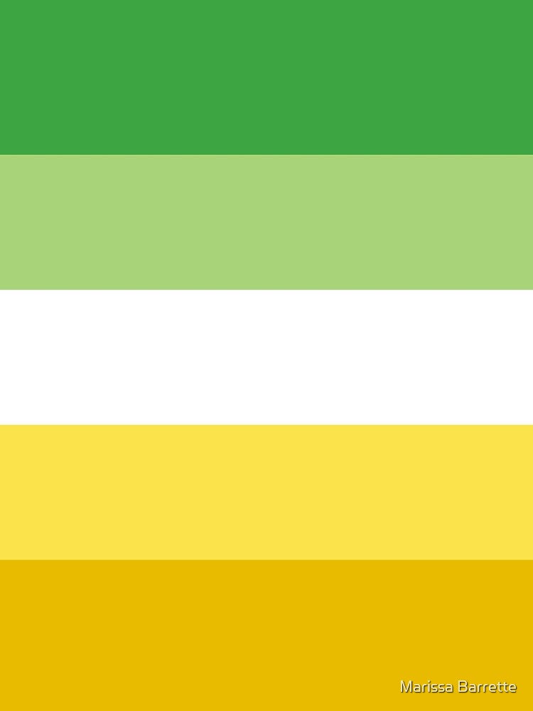 AroAllo Flag by Marissa Barrette