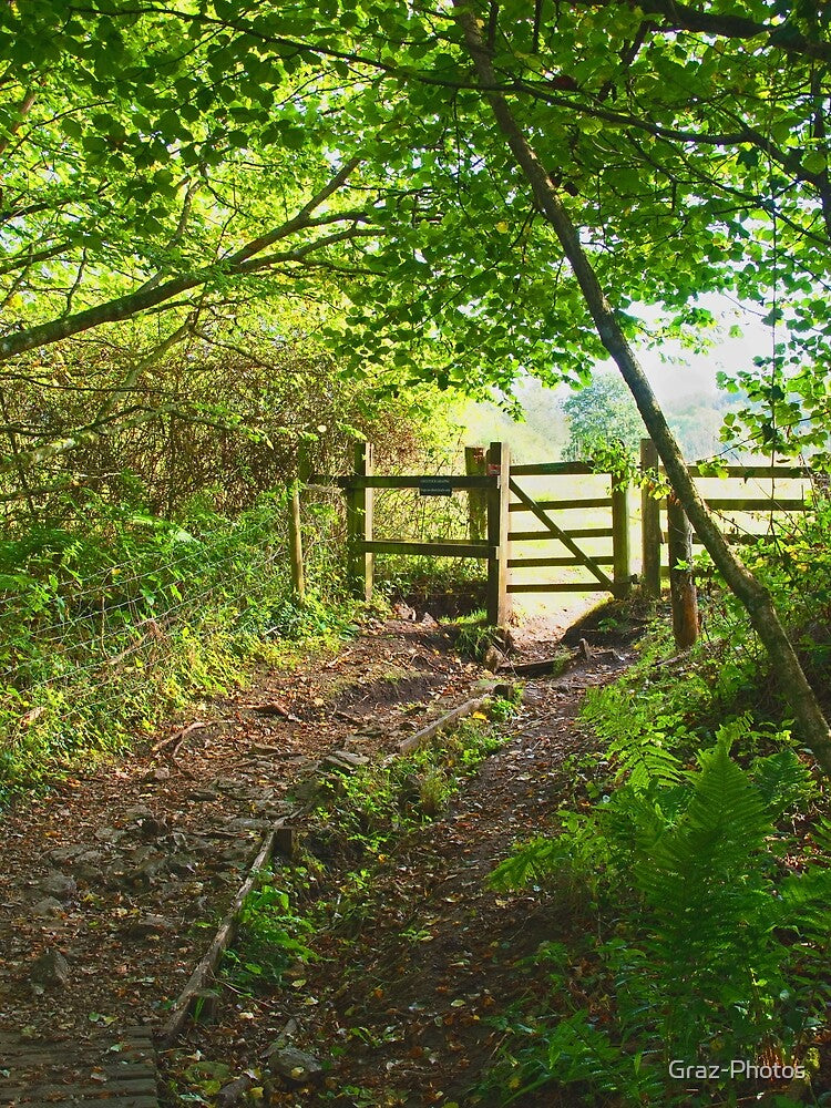Cotswolds Footpath by Graz-Photos