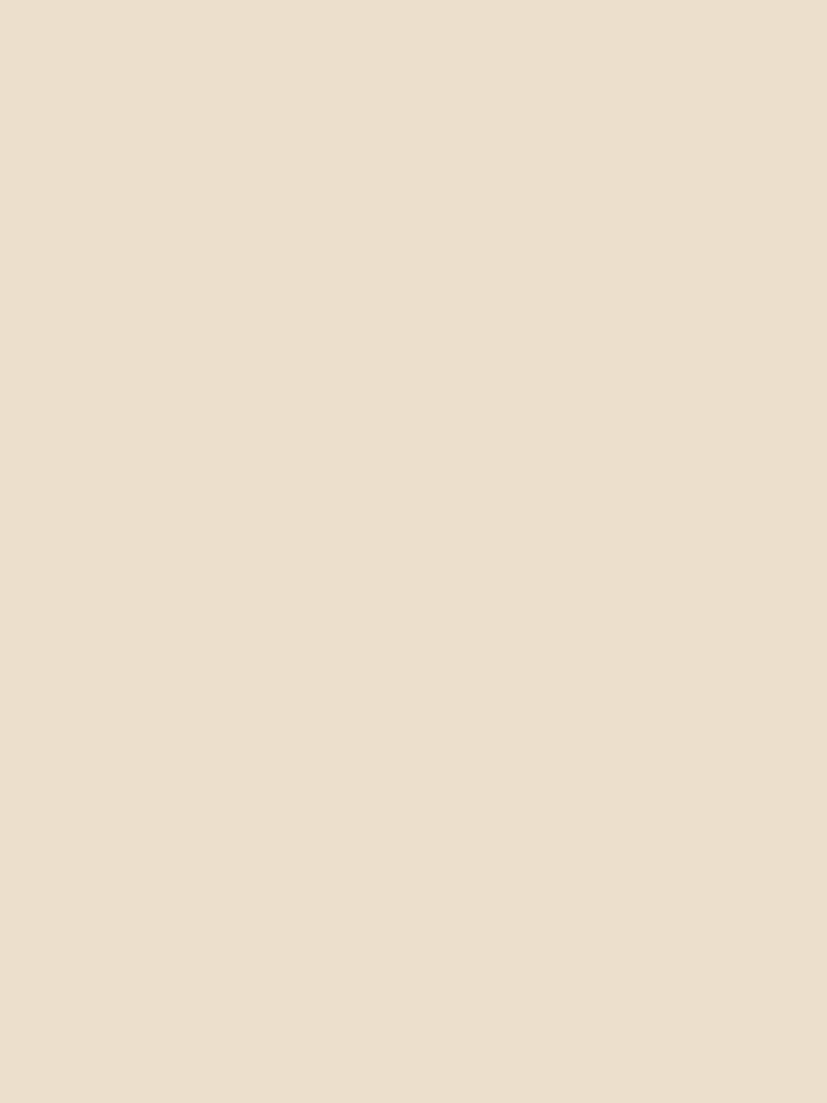 Plain Beige Sand by maniacfitness
