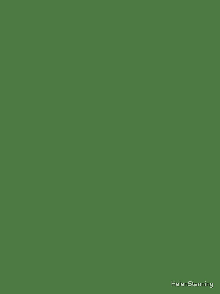 Solid - Green Chrome by HelenStanning