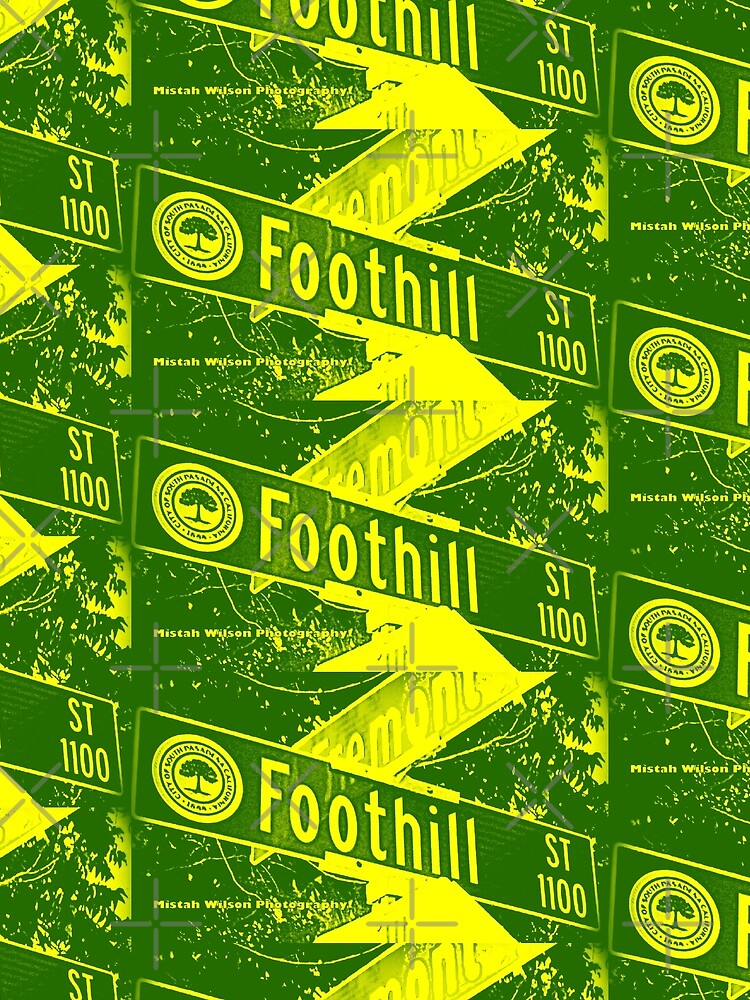 Foothill Street, South Pasadena, CA by Mistah Wilson by The Street Sign Store