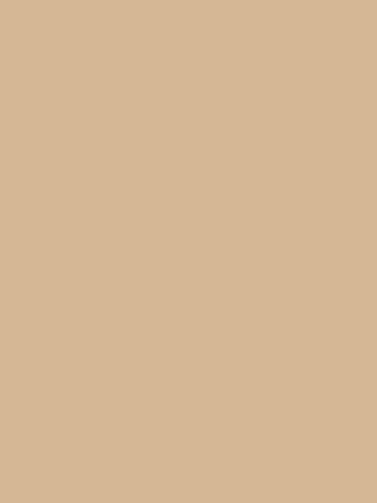 Plain Beige by maniacfitness