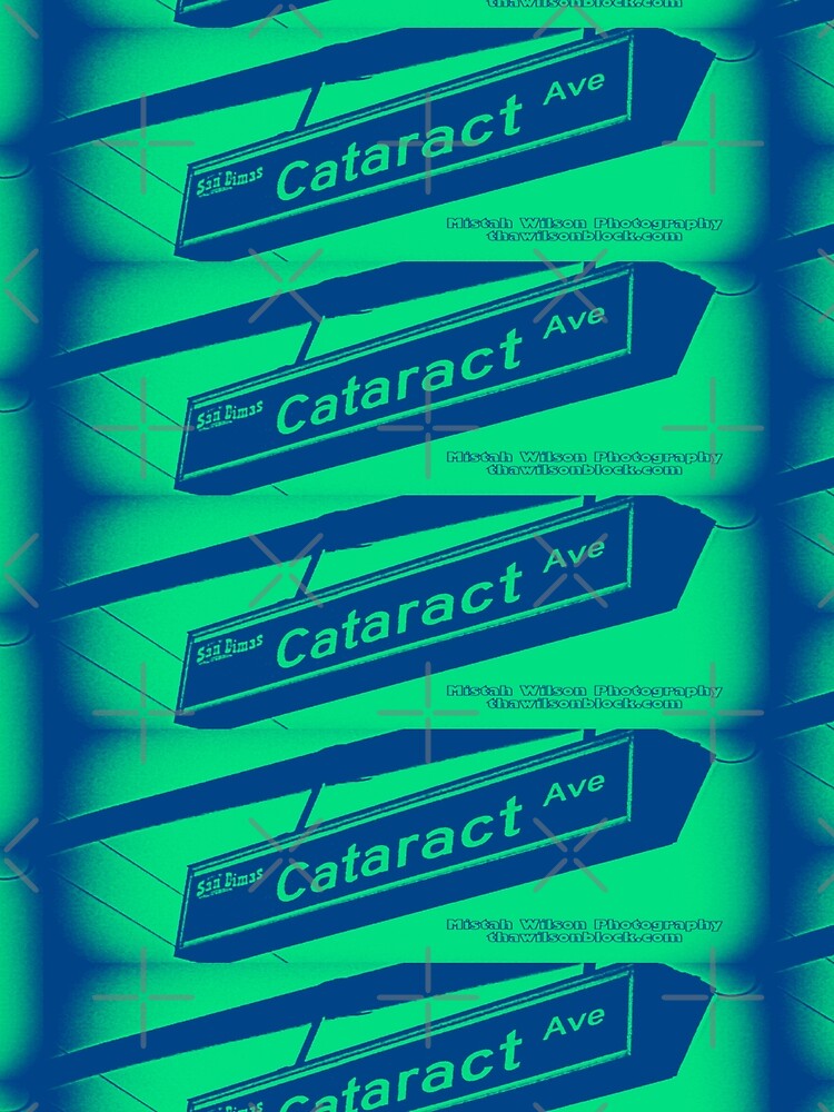 Cataract Avenue, San Dimas, CA by Mistah Wilson by The Street Sign Store