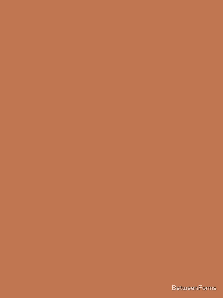 Terracotta Earthy Brown Design by BetweenForms