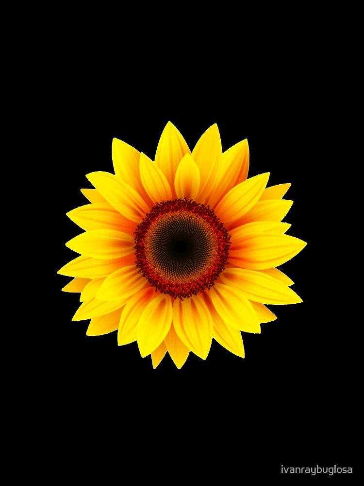 Sunflower by ivanraybuglosa