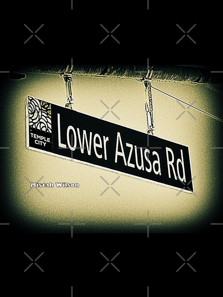 Lower Azusa Road, Temple City, CA by Mistah Wilson by The Street Sign Store