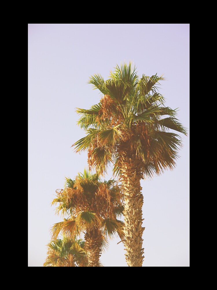 Old Palm Trees in Tropical Beach - Summer Nature Photography by CarolinaReina