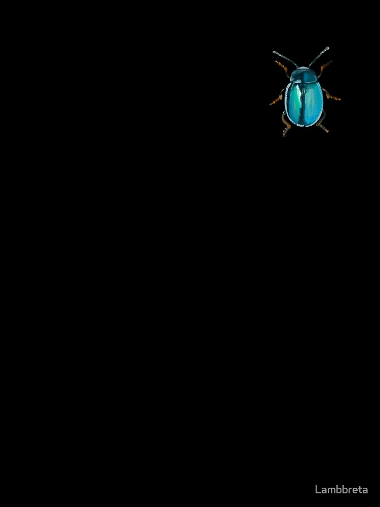 Blue Beetle by Lambbreta