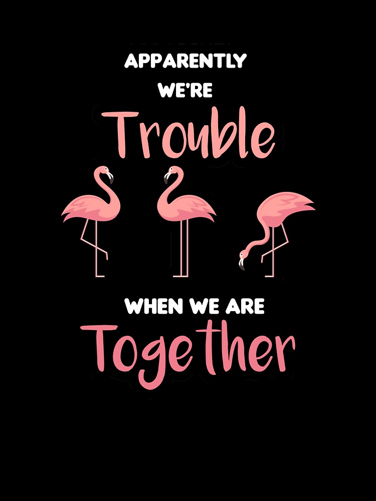 Apparently We're Trouble When We are Together Flamingo  Ladies 'women gift gift for men and women by ANAS MAATI