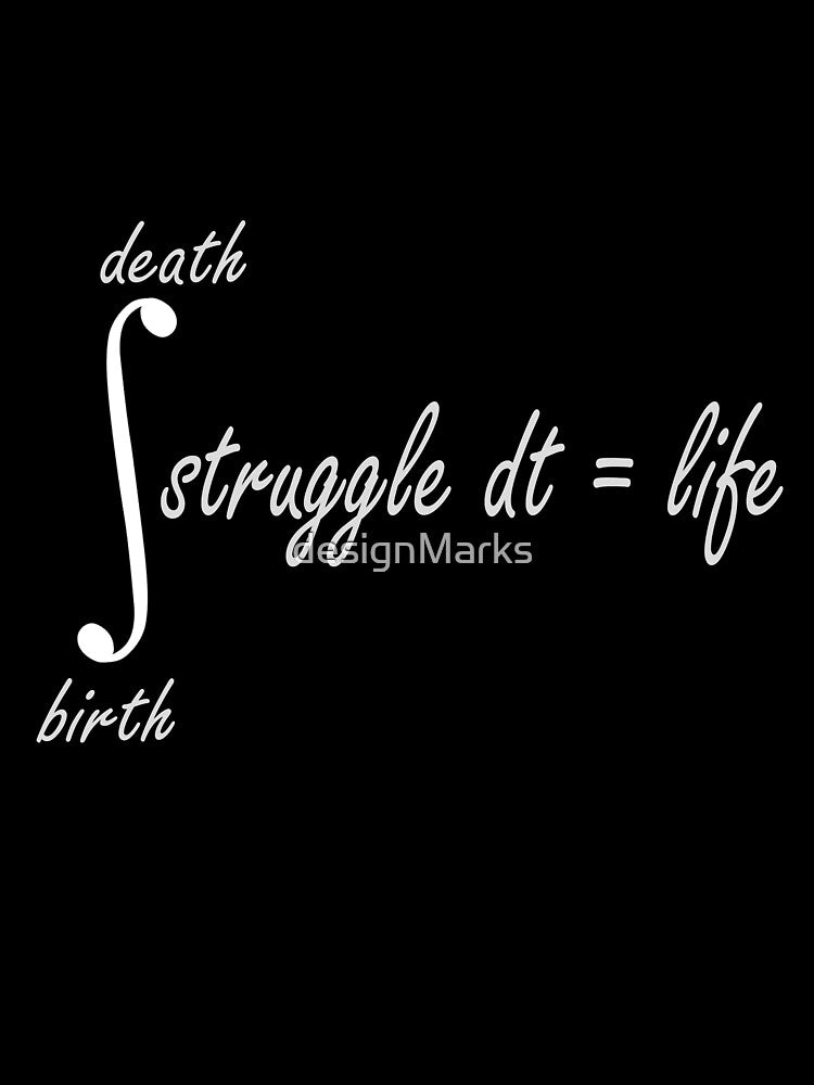 math quote funny math formula by designMarks