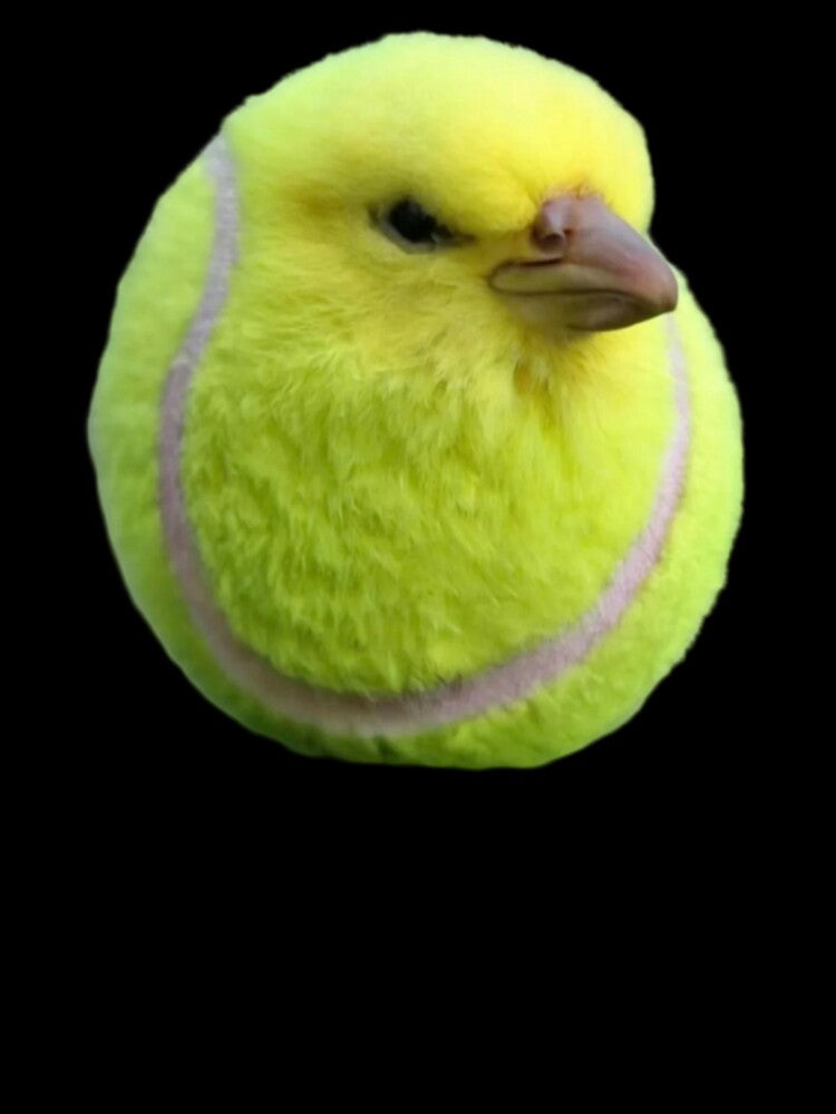 Tennis Ball Bird by AuraCraftStudio